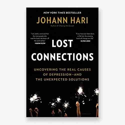 Lost Connections book cover